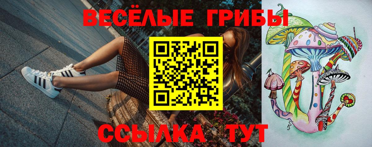 Армавир  Псилоцибиновые грибы Magic Shrooms  Вход с VPN  Галлюциногенные грибы прущие грибы 